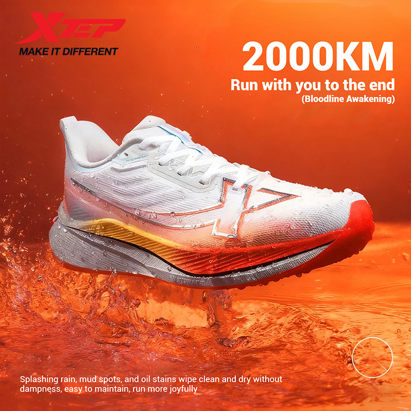 Chaussures de course pour homm - Trail Mix avis et prix