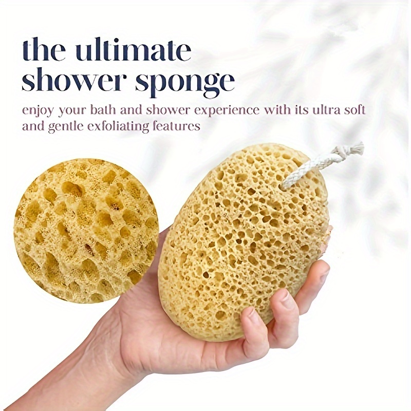 SeAbropérer-Éponge de bain en  - Seaweed Snack avis et prix