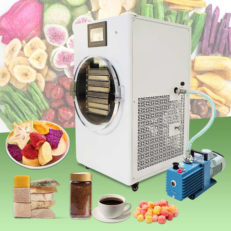 Petit gel Mini Liofilizador sé - Dried Fruit avis et prix